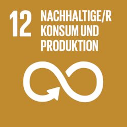 12 SUSTAINABLE CONSUMPTION AND PRODUCTION